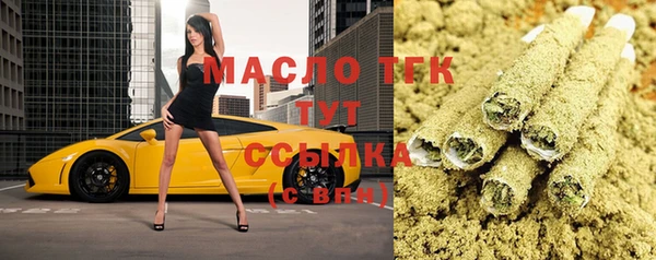 твердый Заводоуковск