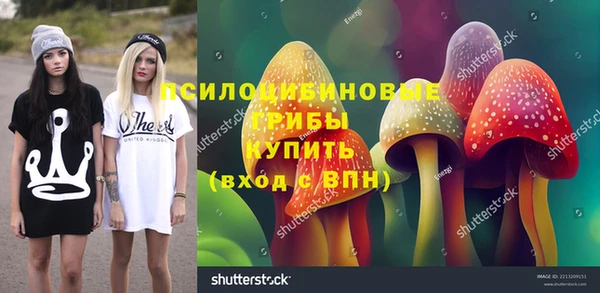 сатива Алексин