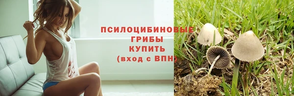 не бодяженный Алзамай